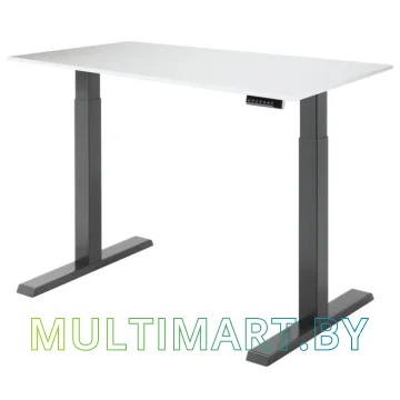 Стол для работы стоя ErgoSmart Electric Desk Compact 1380х800х18 мм (альпийский белый/черный) 
